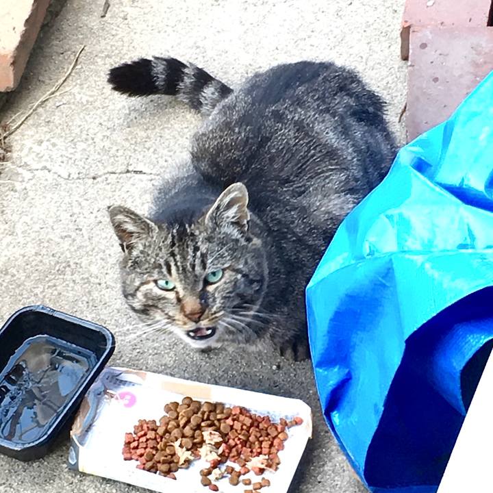 08158b8a 3aad 4811 8862 a92bda2dfec5 1615351631819