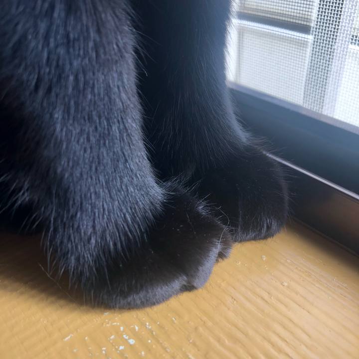 0815b364 dd1e 4d29 abea 38f84ff10168 1557441268428