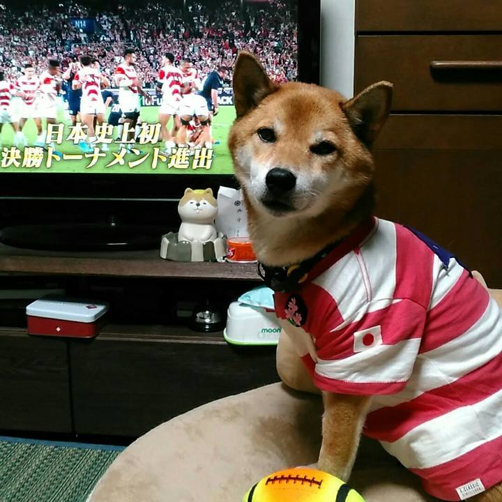 081606cf a34a 45a5 9df9 b52e4c7e1d86 1570970644182