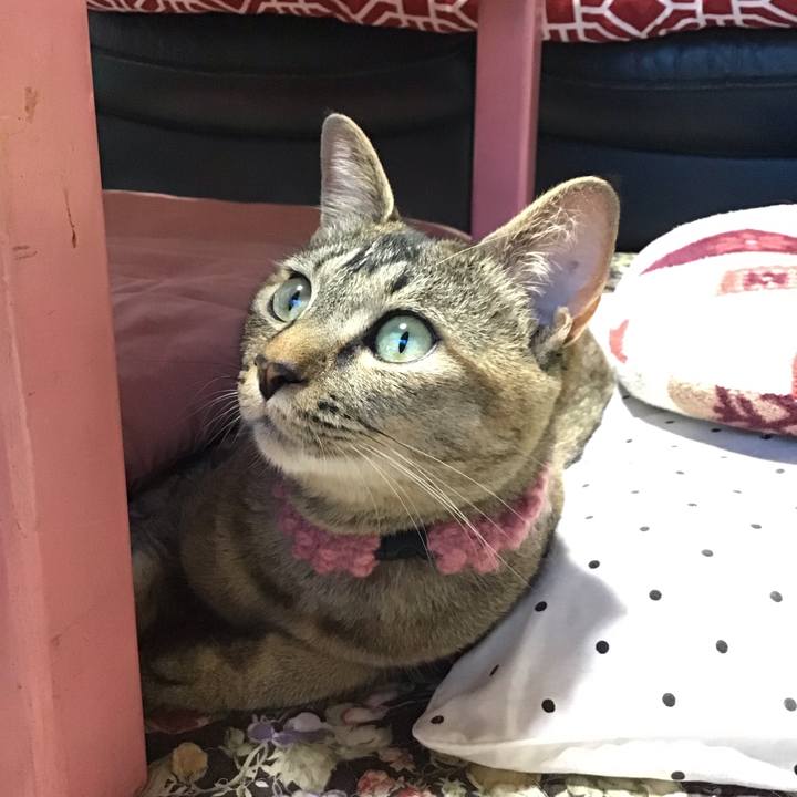 08160d8c e632 45e5 8b2f 5e9bcbcb8c1c 1594092937192