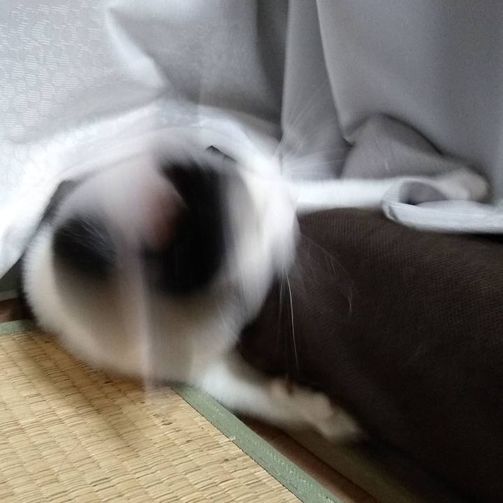 0816405e f744 4937 bcef 138f327197ba 1559733376504