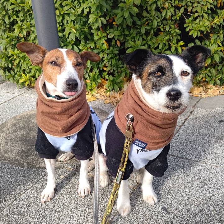 08166533 7a5e 4c6b a5ad a59a0b940699 1705107873248