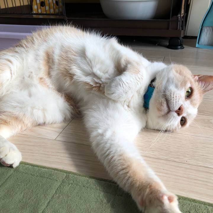 0816ac18 0385 4606 8cc1 5eec20645252 1619132072989