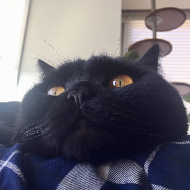 0816f99c 7252 4eae 9899 ef94002b9e75 1548807306132