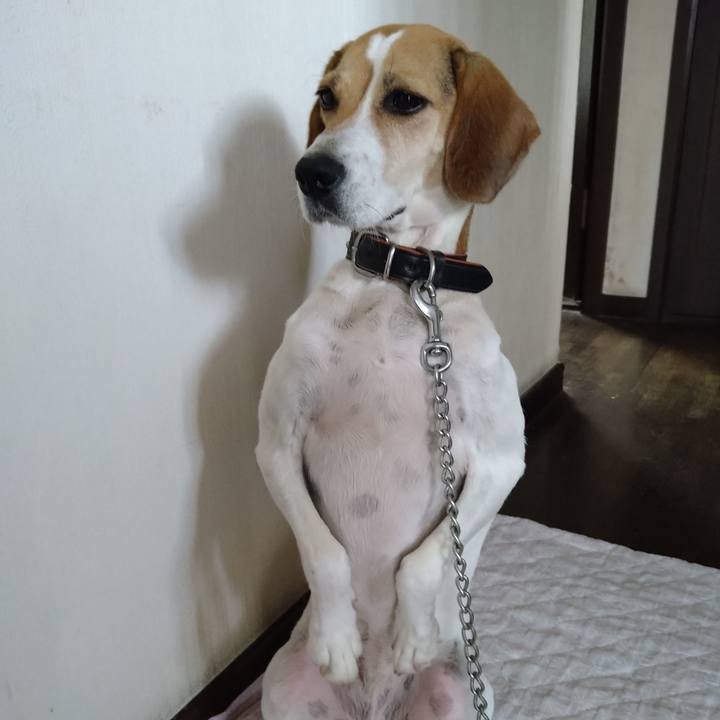 081705e2 2ba6 467a aafa b1de222026f5 1632488544352