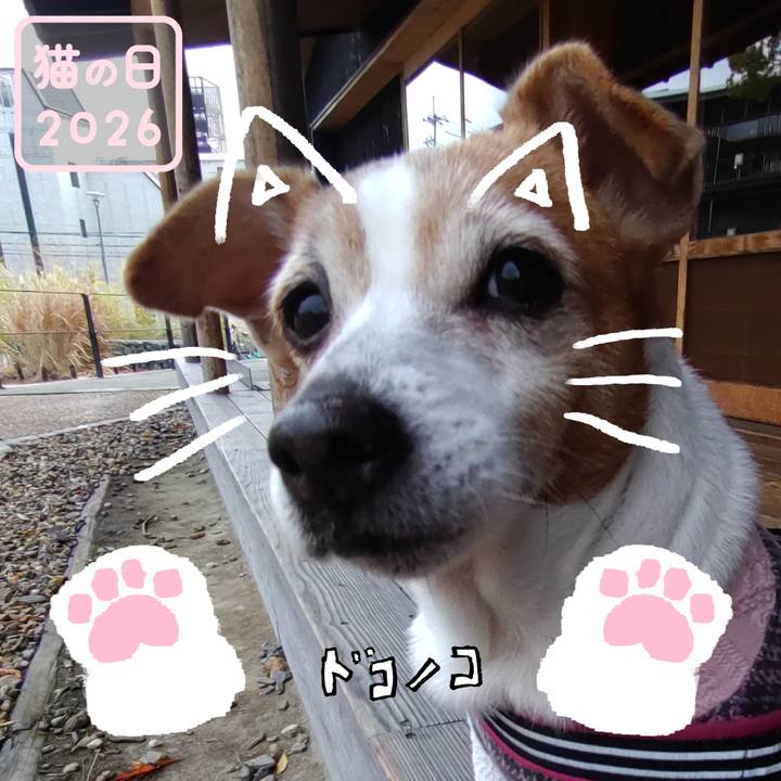 08174672 526e 4a44 ab84 0bf01476c6b1 1771748013568