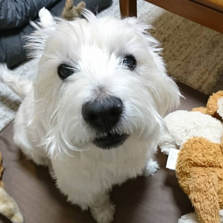 08178c52 c500 49ce 8620 0ab0d2939a32 1515592729140