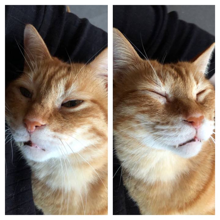 08181928 4c51 4437 977d 9aafc547a61a 1687083261520