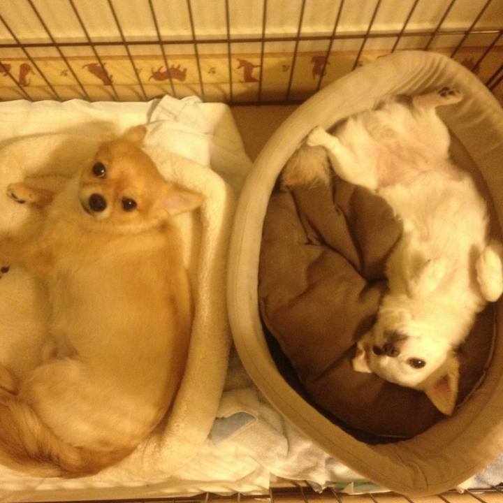 0818301f c8dd 4253 9350 ed7e39a90e2c 1536322282616