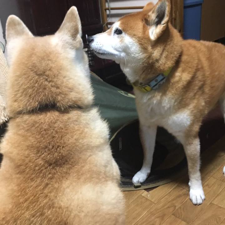 0818455f a7ec 47d0 9fdc e6e405beeb0d 1509632772102