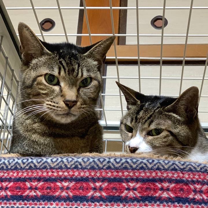 08184d2d 1193 425b 80e3 6092585c90d9 1547945888827