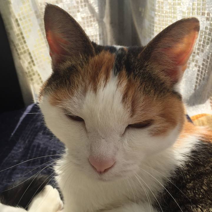 08186016 1107 4f76 8bd4 ed1f2554e23f 1588572079563