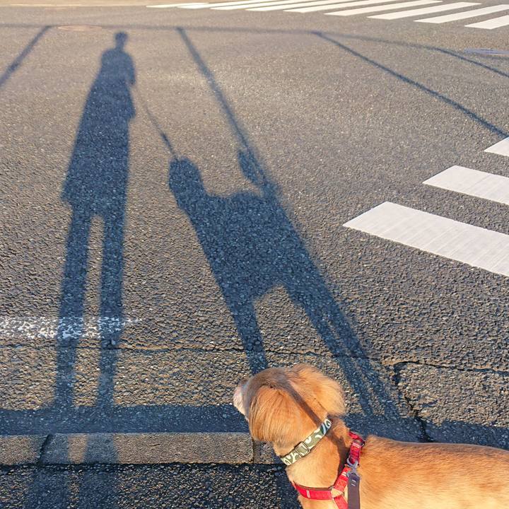 08187151 1b4c 441b 86c2 7fd1893af09c 1564523631089