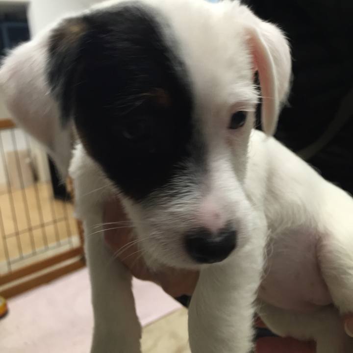 0818b68a a507 4c78 ad35 a1348f5dbf17 1666442195422