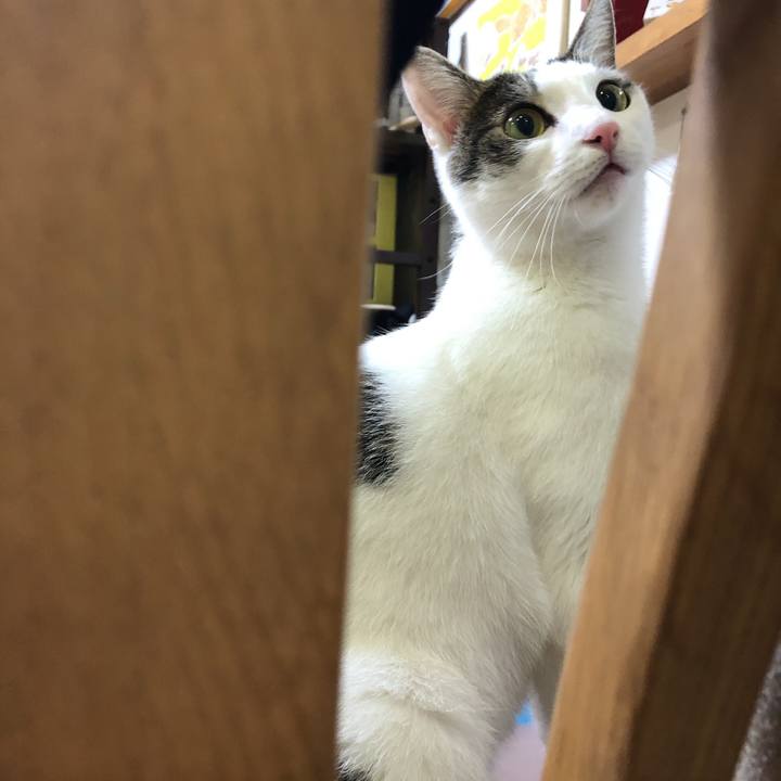 0818bdb3 b61c 4042 ad8e 41d3c225272b 1636448863807