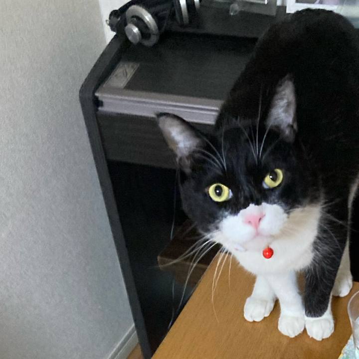 0818c773 9cda 465b 85db 0dc507ea559a 1673006853023