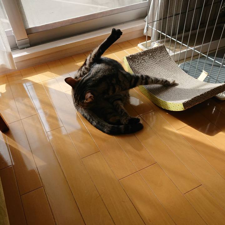 0818f2c8 d931 43af 8067 569217384e63 1581049105110