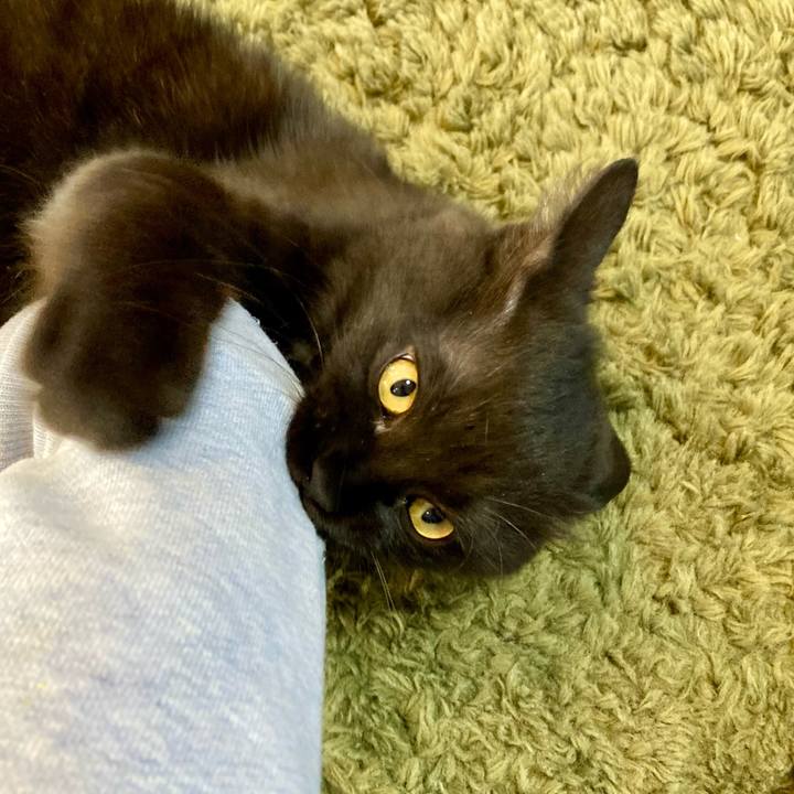 0818f474 a098 4377 8347 211415673b96 1703917725822