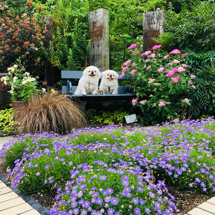 08191da3 f71e 46f5 a475 cb9dc66a6b41 1621038782970