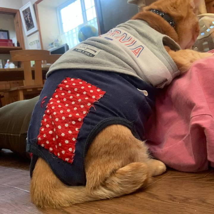 08195748 7891 49a2 8f16 c991530a492e 1617400609482