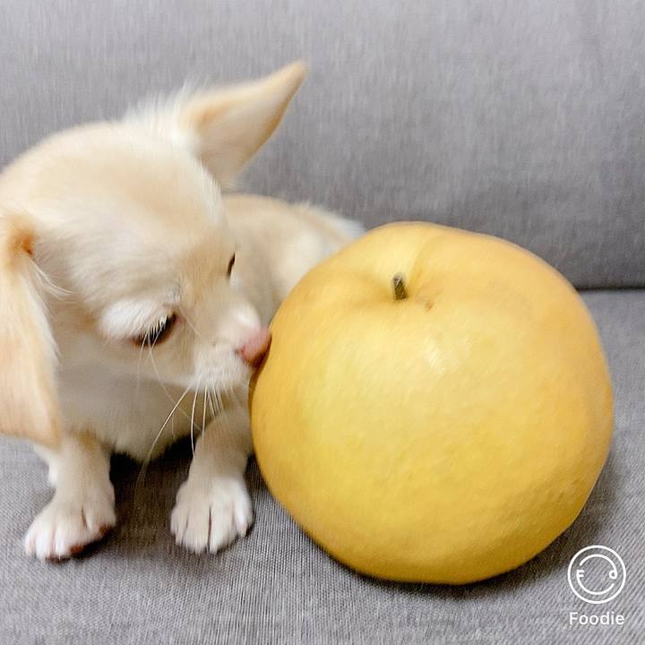 081967e0 eb53 46ba a2d0 e907616d8785 1601882278662