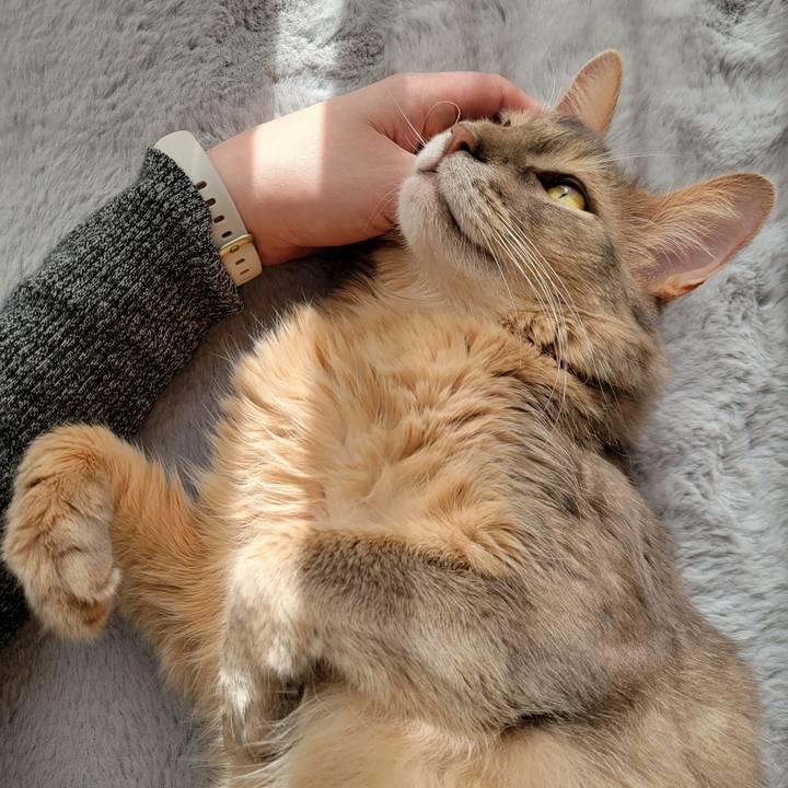 08197905 50d5 4769 8ce9 303051008d32 1675732850325