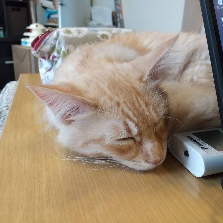 0819ae7e cb4e 4ffe b6f6 0ed3fe41a000 1612756987896