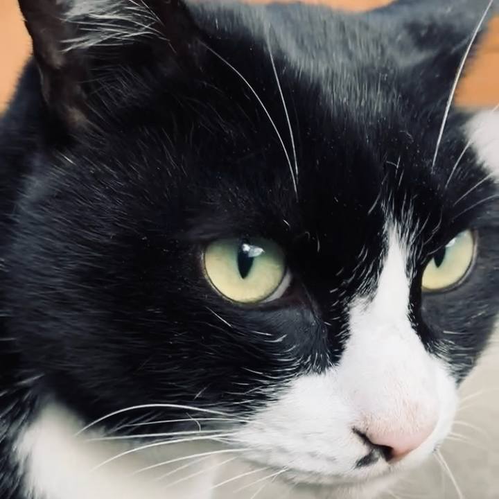 0819b95b 29f5 4c2f a2d1 512e6ee67f90 1733282692290