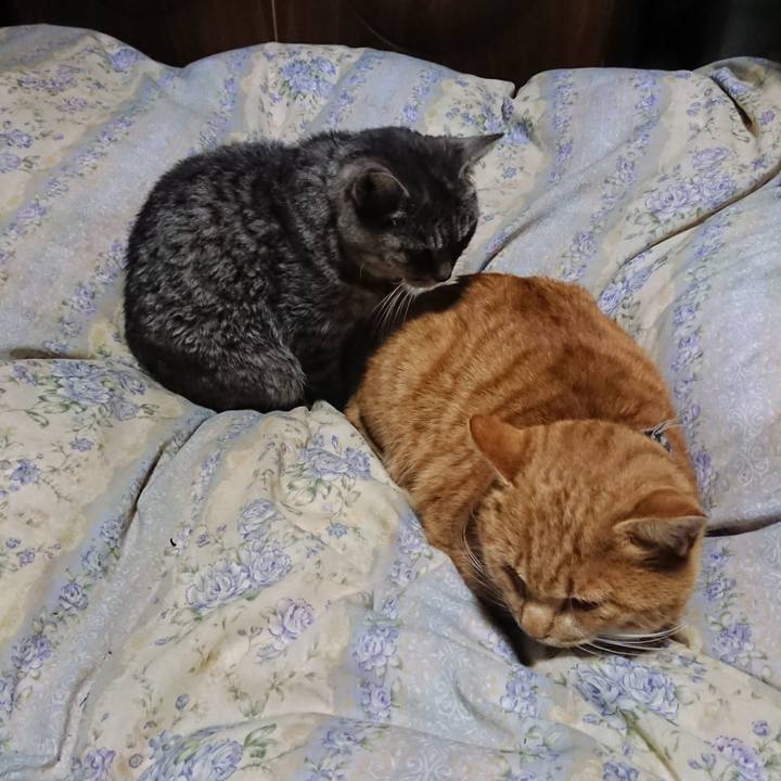 0819be98 a8c8 4daa 9fdd 1a5f60776561 1575635110513