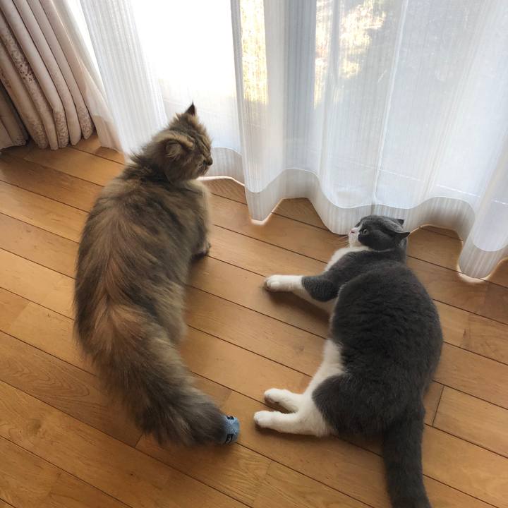 081a486b 888e 4fa9 927e cdc1eed308c3 1555724611690