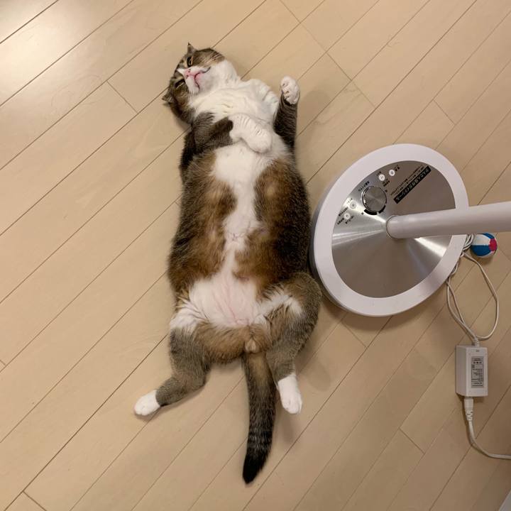 081af1ad 3634 4552 bd39 6079eee26360 1566089286160