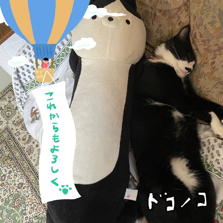 081afad5 1b1c 4616 b9a7 f6898e27ba03 1685939267752