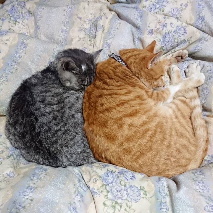 081b1cf6 6348 43c2 874d a7f84f3c51ee 1576153705957