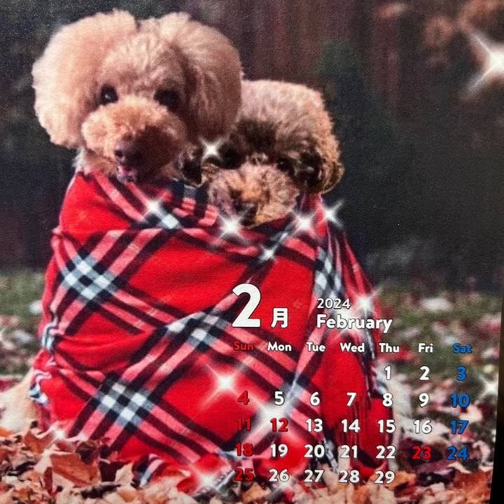 081b1cfe a943 47e1 9f3b dfe3857775d6 1706741076633