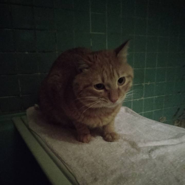 081b1e9c bbac 4cea 9f44 c5e39c79a2f7 1674467097128