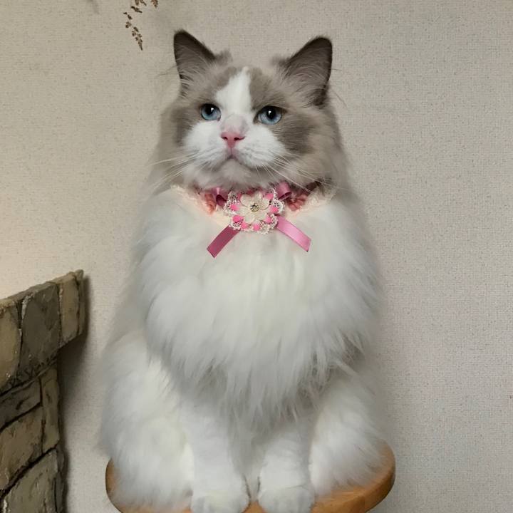 081b26f7 a3e7 4295 beda 43e2c623c58d 1600376183367