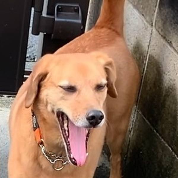 081b367b 8dcc 4dfd 9ef3 cda1a04eae35 1567726748477