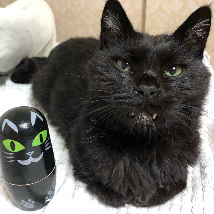 081b60fa 4d13 409d aa1f e6c407bbd7ba 1629285058780