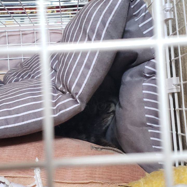 081b654e a664 4d2e bb94 4e7cc1fe15ff 1560320529889