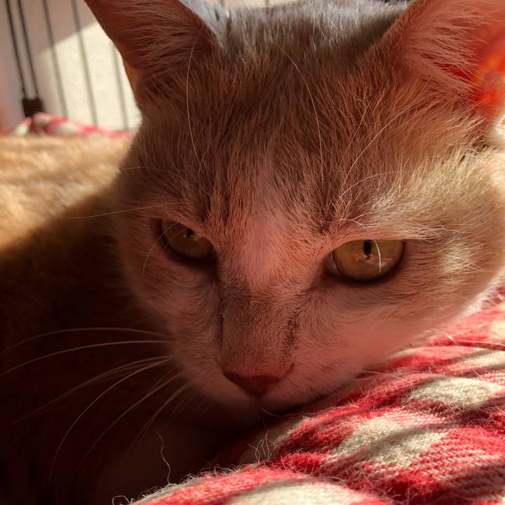 081b86c1 8c72 4d42 8aca 6807fb1bd047 1539853219124