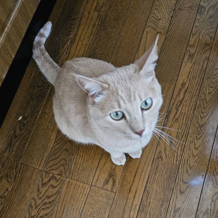 081c8d6c a7f7 431e a890 385d26766db3 1693371939210