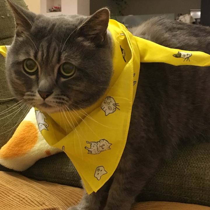 081ca6ca 79df 4806 bbe5 d5ccded2065e 1528202591083