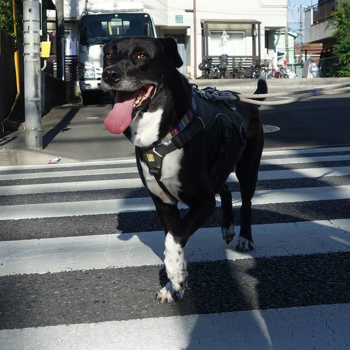 081cae2a 4047 4b09 a39d 91cc533dc374 1656200110426