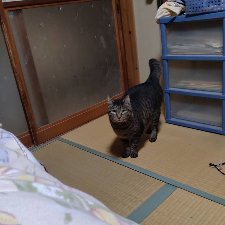 081cf5c7 338d 4974 8de5 33dc4ec76a56 1680906593917