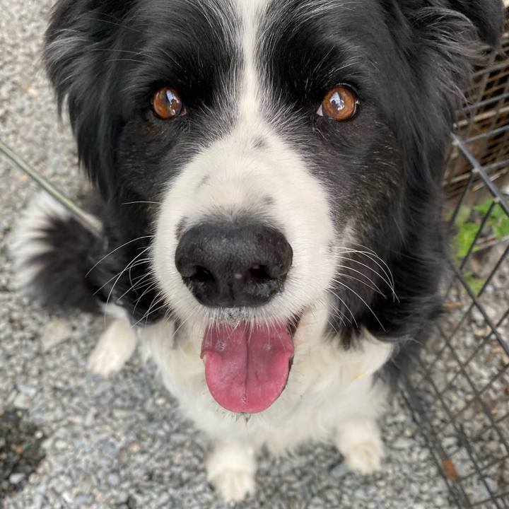 081cf5de 1846 4328 ac84 735eb898a131 1653002789556