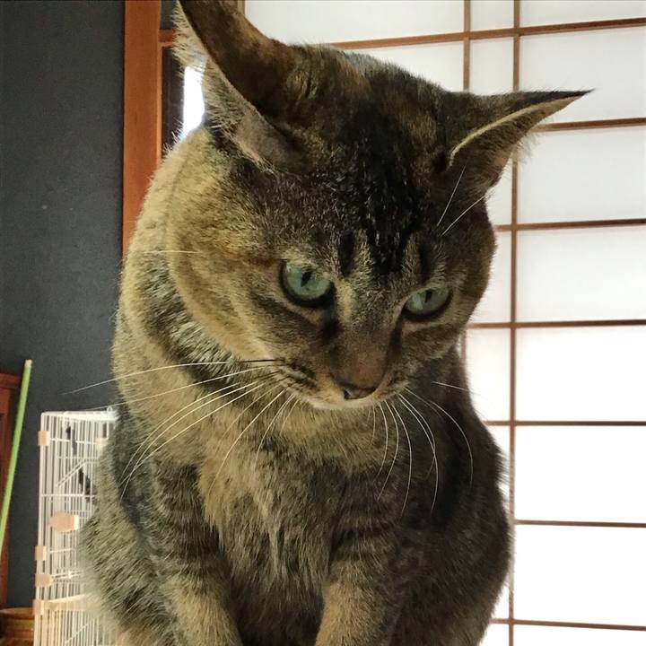 081d106c 2f30 4812 955c 8aa74f359400 1642654756783