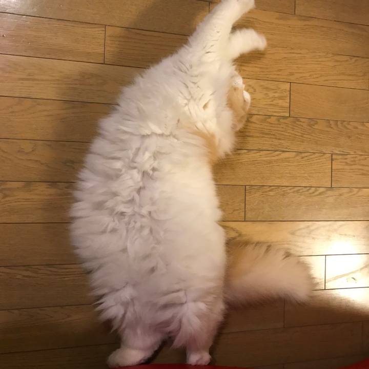 081d4863 fe28 4c4e a9d6 591ec35d359e 1522770917893