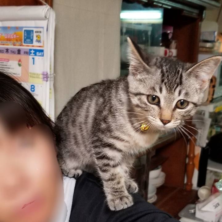 081d6709 af7d 4041 9793 b20671272900 1665570981461