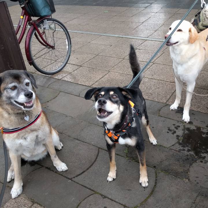 081d6860 92e8 4ba2 9322 e8943f35a536 1530061784451