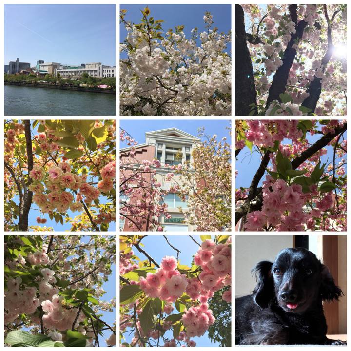 081d8714 c1cd 4a3f 854e 2a88ce27a213 1523592468588